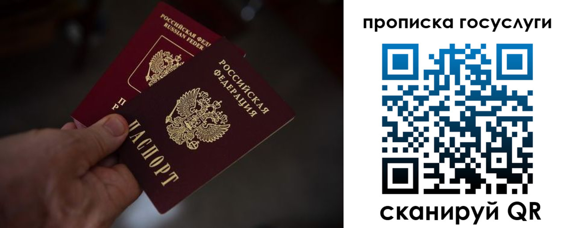 прописка ребенка в Бородино