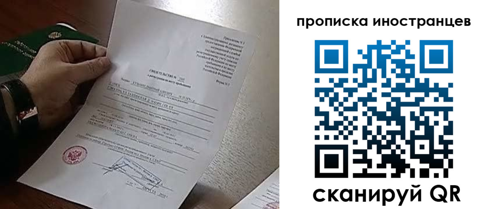 прописка поиск в Бородино